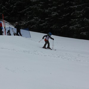 Školní závody ve sjezdovém lyžování