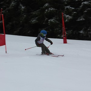 Školní závody ve sjezdovém lyžování