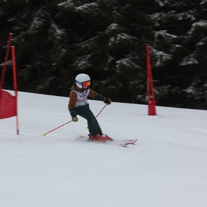 Školní závody ve sjezdovém lyžování