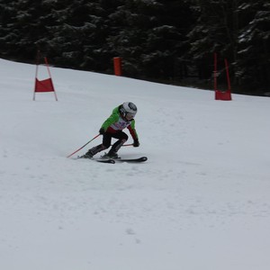 Školní závody ve sjezdovém lyžování