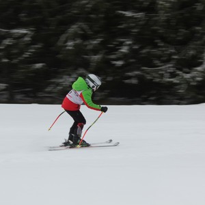 Školní závody ve sjezdovém lyžování