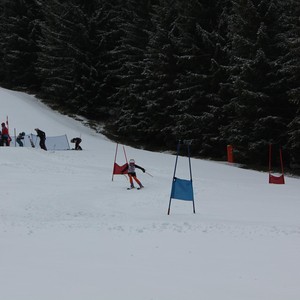 Školní závody ve sjezdovém lyžování
