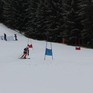 Školní závody ve sjezdovém lyžování