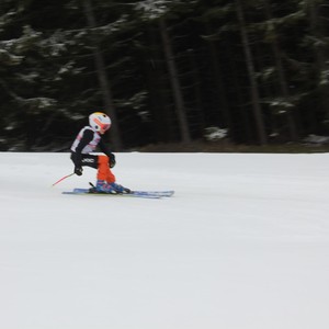 Školní závody ve sjezdovém lyžování