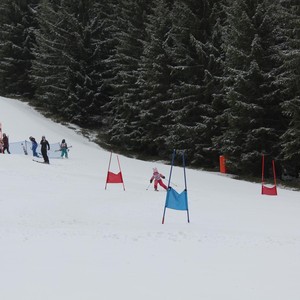 Školní závody ve sjezdovém lyžování