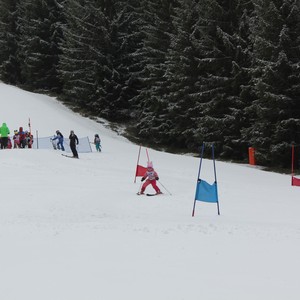 Školní závody ve sjezdovém lyžování