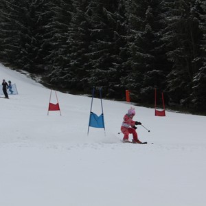 Školní závody ve sjezdovém lyžování