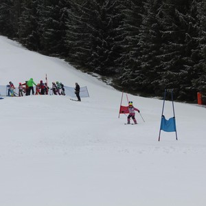 Školní závody ve sjezdovém lyžování