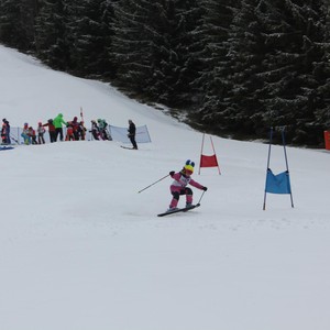 Školní závody ve sjezdovém lyžování