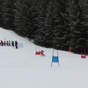 Školní závody ve sjezdovém lyžování