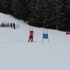 Školní závody ve sjezdovém lyžování