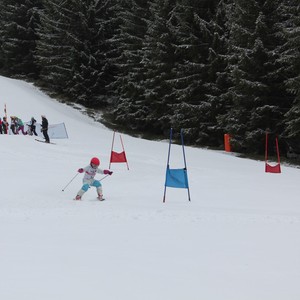 Školní závody ve sjezdovém lyžování