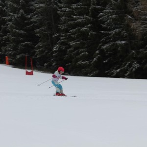 Školní závody ve sjezdovém lyžování