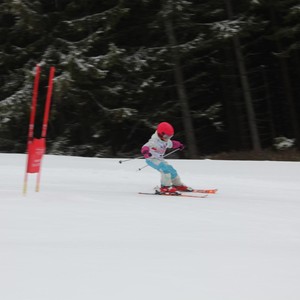 Školní závody ve sjezdovém lyžování