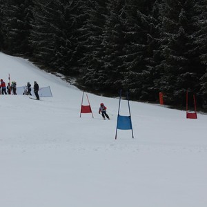 Školní závody ve sjezdovém lyžování
