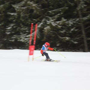 Školní závody ve sjezdovém lyžování