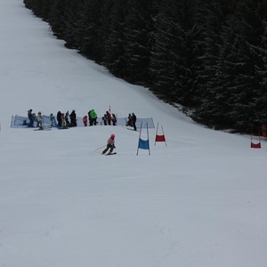 Školní závody ve sjezdovém lyžování