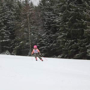 Školní závody ve sjezdovém lyžování