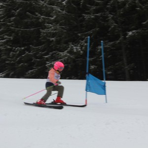 Školní závody ve sjezdovém lyžování