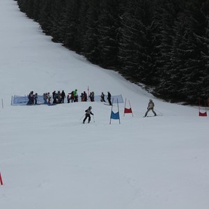 Školní závody ve sjezdovém lyžování