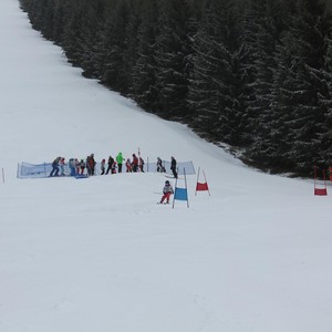 Školní závody ve sjezdovém lyžování