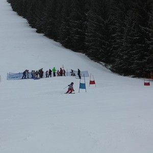 Školní závody ve sjezdovém lyžování