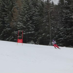 Školní závody ve sjezdovém lyžování
