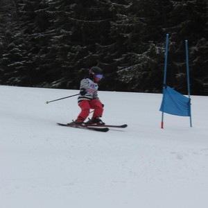 Školní závody ve sjezdovém lyžování