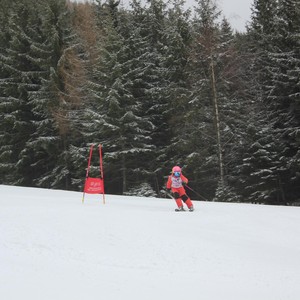 Školní závody ve sjezdovém lyžování