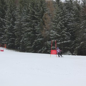 Školní závody ve sjezdovém lyžování