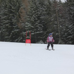 Školní závody ve sjezdovém lyžování