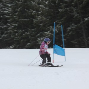 Školní závody ve sjezdovém lyžování