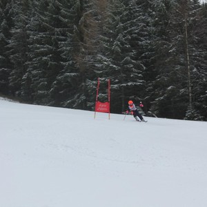 Školní závody ve sjezdovém lyžování