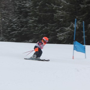 Školní závody ve sjezdovém lyžování