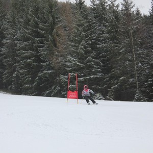 Školní závody ve sjezdovém lyžování