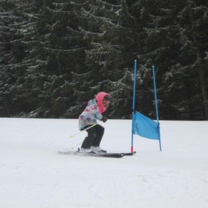 Školní závody ve sjezdovém lyžování
