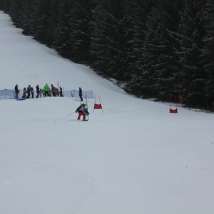 Školní závody ve sjezdovém lyžování