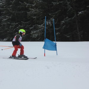 Školní závody ve sjezdovém lyžování
