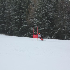 Školní závody ve sjezdovém lyžování