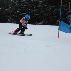 Školní závody ve sjezdovém lyžování