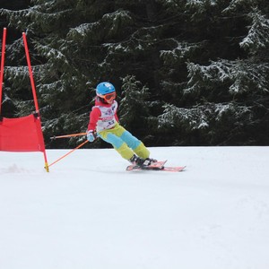 Školní závody ve sjezdovém lyžování