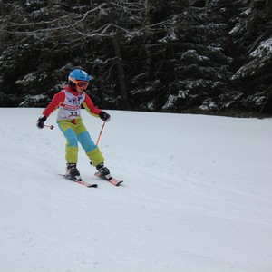 Školní závody ve sjezdovém lyžování