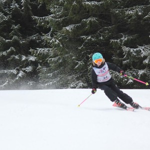 Školní závody ve sjezdovém lyžování