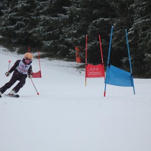 Školní závody ve sjezdovém lyžování