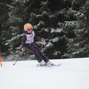 Školní závody ve sjezdovém lyžování