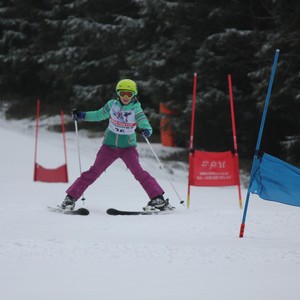 Školní závody ve sjezdovém lyžování