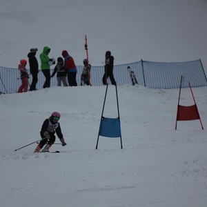 Školní závody ve sjezdovém lyžování