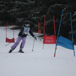 Školní závody ve sjezdovém lyžování