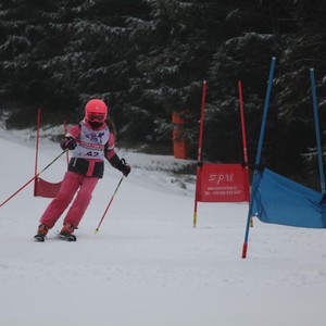 Školní závody ve sjezdovém lyžování