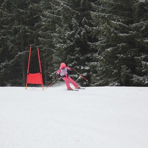 Školní závody ve sjezdovém lyžování